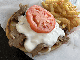 Morse Gyros